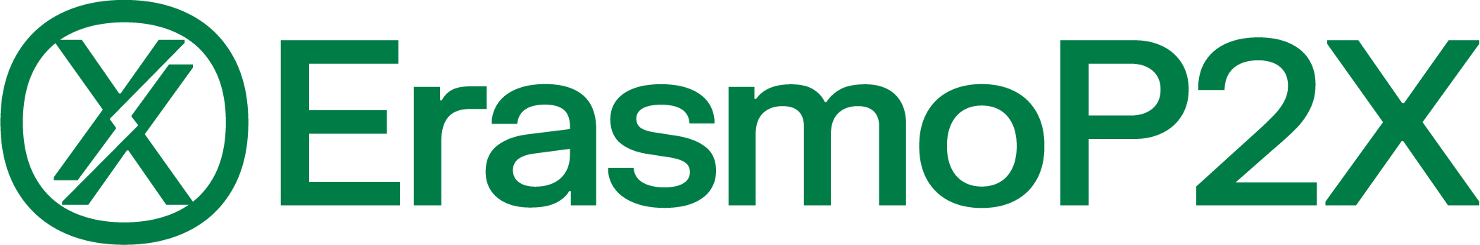 Logo - ErasmoP2X